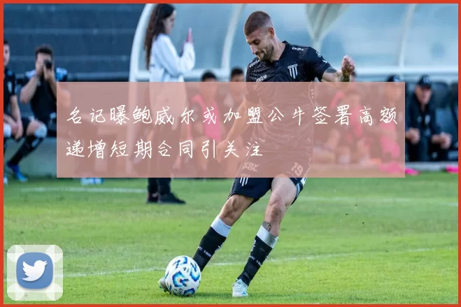 名记曝鲍威尔或加盟公牛签署高额递增短期合同引关注